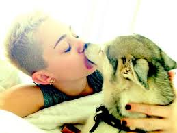 Miley Cyrus' Dogs