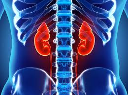 This is present long before the usual tests done in your. Screening For Kidney Disease Diabetic Nephropathy Screening