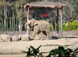 ماذا تشاهد في حديقة الحيوانات في ازمير ام القرى