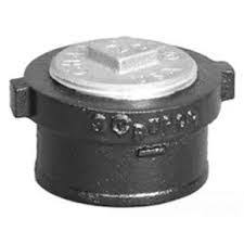 4'' No Hub x NPT Tapped Cleanout Ferrule W/Plug - Wallington ...