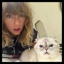 🐾 ¡LA GATA DE TAYLOR SWIFT VALE MILLONES! 😱💰 Y SUPERA A MUCHAS  CELEBRIDADES EN FORTUNA ¡INSÓLITO PERO CIERTO! 🐱💎 La famosa cantante  Taylor Swift no es la única estrella de su