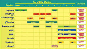 Get your child vaccinated today! Baby Vaccination Chart Gallery Of Chart 2019