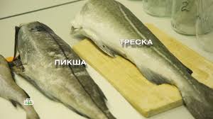 Dve Bolshie Raznicy Kak Otlichit Tresku Ot Surrogata Ntv Ru