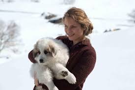 Clovis cornillac était l'invité de l'émission l'info qui fait du bien pour parler de belle et sébastien 3, le dernier chapitre. Belle Et Sebastien 3 Le Dernier Chapitre 2018 Un Film De Clovis Cornillac Auvergne Rhone Alpes Cinema