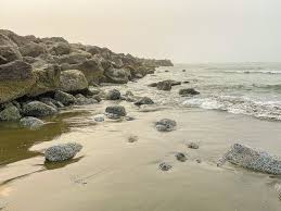 10 Exciting Things To Do In Ocean Shores Washington Postcards To Seattle