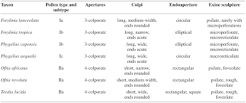 Image result for Teedia lucida