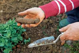 Die einen träumen von einem schönen bauerngarten und möchten obst und gemüse anbauen, die anderen sind nur auf der suche nach entspannung und möchten in ihrer. 10 Tipps Fur Eine Gelungene Gartenplanung Mein Schoner Garten