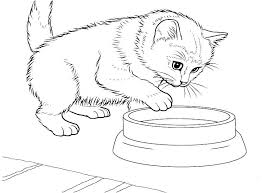Printable Cat Coloring Pages Ideas For Kids Free Coloring Sheets Kittens Coloring Animal Coloring Pages Cat Coloring Page
