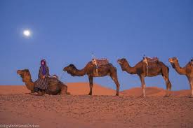 Get ready for magic with morocco camel tours ❤. 21 Things To Know Before You Travel Morocco Big World Small Pockets