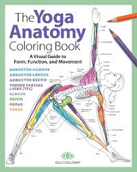 Remain in this pose for a few seconds. The Yoga Anatomy Coloring Book By Sixth Spring Books Issuu