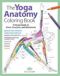 This is the final pose of sirsasana. The Yoga Anatomy Coloring Book By Sixth Spring Books Issuu