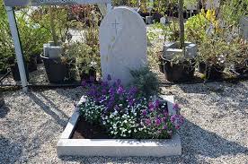 Grabbepflanzung In Lila Von 1a Garten Zitzelsberger In Ingolstadt Bepflanzung Gartencenter Garten