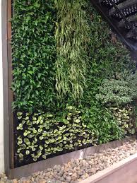 green wall mur vegetal vegetal montreuil