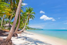Green Leaf Coconut Trees Sand Sea The Sky Clouds Landscape Nature Tropical Beach Thailand Beautiful Thailand Dubai Tour Dubai Holidays Dubai Vacation