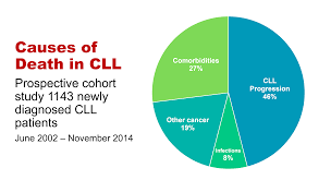 take out messages from cll horizons cll advocates nz