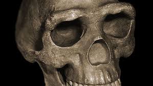 Da gibt es nämlich gruppen die glauben das man durch intensives beten von homo zu hetero verändert tatsächlich veränderte sich der körperbau von homo erectus in der zeit vor 1,8 bis 1,5 millionen jahren erheblich, so dass er „sehr abweichend. Wann Verliess Der Mensch Afrika Nachricht Archaologie Online