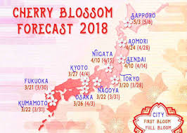 Work of art in the form of a series of live images that are rotated to produce an illusion of moving images. Japan Cherry Blossom 2021 Forecast When Where To See Sakura In Japan Live Japan Travel Guide Japan Japan Travel Cherry Blossom Japan