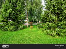 Discover our huge online selection of plants. Well Maintained Garden Image Photo Free Trial Bigstock