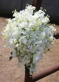 Pin On My Beautiful Outdoor Wedding Ideas