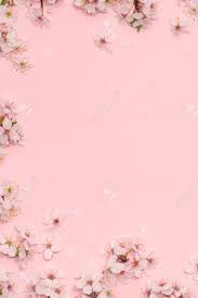 We did not find results for: Framework Vertical From Cherry Blossoms On Pastel Pink Background Flat Lay Copy Space Top View Stock Photo Picture And Royalty Free Image Image 146026022