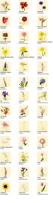 Here is a list by theydeserveit of different types of flowers that signifies a particular characteristic of people or those. Meaningful Flowers For Your Bouquet Different Types Of Flowers Types Of Flowers Flower Meanings