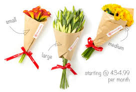 Bloomsy Box Bloomsybox Flower Subscription Monthly Flower Delivery Flowers