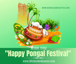 Pongal marks joy and cheer and brings along everything that's best. Happy Pongal 2021 Best Wishes Quotes Messages For Pongal Festival