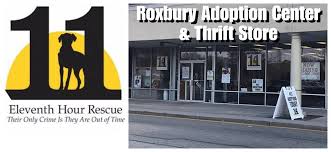 All of the employees at adoption network law center are so amazing and there goal is to create happy families. Ehr Roxbury Adoption Center Thrift Store Home Facebook