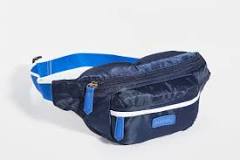 fanny pack