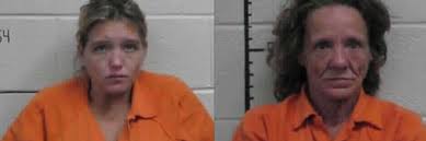 Two women, including mother, charged with selling heroin out of Sequatchie  County home