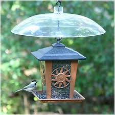 3.7 out of 5 stars 156. Avoid Wet Bird Seed 3 Ways To Keep Bird Seed Dry
