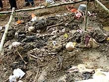 Some displaced by the conflict still live in refugee areas established during the war, and the identification and return of victims' remains through dna analysis has been a long and painful process—not only in srebrenica, but at other mass graves around bosnia. Srebrenica Massacre Wikipedia