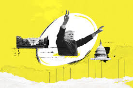 Trump Impeachment Vox