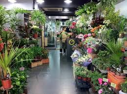 A Flower And Gift Shop Buried In The Crowded Mong Kok Flower Market With A Cute Hidden Cafe Tucked Away At Th Floral Shop Flower Market Flower Shop Interiors