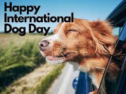 International dog day 2019 is officially upon us. International Dog Day Woof On International Dog Day Celebrate Your Furry Best Friend With These Quotes Trending Viral News