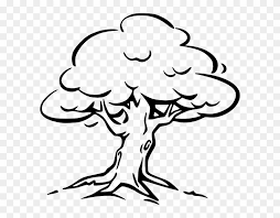 We did not find results for: Tree Clip Art Oak Tree Drawing Easy Hd Png Download 600x575 3512647 Pngfind