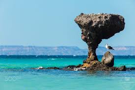 Pin On Animales Paisaje