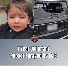 There is no moral universe where pepper-spraying a baby is justified.  Trump's team crossed a line, and Illinois will continue to protect our  communities against their blatant cruelty.