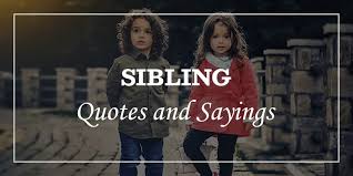These quotes are not only funny, they are also pretty clever. 41 Most Loving Sibling Quotes And Sayings Dp Sayings