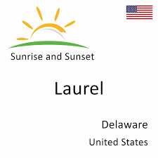 Laurel