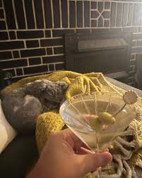 Happy Pup Birthday to the sweetest, most loving (to me) and chaotic dog  that everyone wants to pet, but he wants nothing to do with them ❤️ 9 years  and kicking 🙌🏼🙌🏼 #