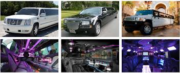 We are auckland's number one party bus hire company! Kids Party Bus Rental Limo Service 10 Best Kids Party Buses