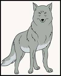 And, it'll keep them busy and having fun. How To Draw Cartoon Wolves Realistic Wolves Drawing Tutorials Drawing How To Draw Wolves Drawing Lessons Step By Step Techniques For Cartoons Illustrations