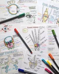 Tweets By Dr Sarah Clifford Scillustrations Twitter School Study Tips Pretty Notes Science Notes