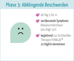 Blasenentzundung Wenn S Mal Wieder Brennt Femalac