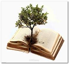 Pin On Essay Writing Tips