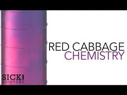 Red Cabbage Chemistry Experiments Steve Spangler Science
