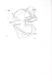 Image result for Clutia swynnertonii