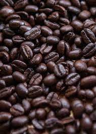 Civet Coffee All About Kopi Luwak Coffee And The Cat That Poops It Out