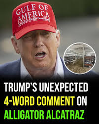 With an estimated annual cost of $450 million, “Alligator Alcatraz” is  already stirring fierce debate across the country 😲